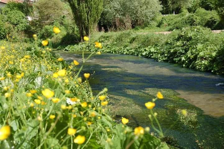 Azienda Agrituristica La Valle Del Sambuco 诺尔恰 外观 照片